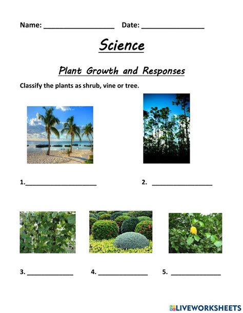 Plant Growth Response Worksheet Live Worksheets