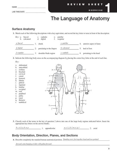 Intro To Anatomy And Physiology Worksheets