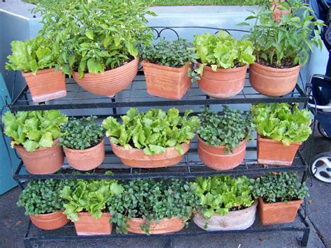 23 Vegetable Garden Ideas And Designs For Your Yard