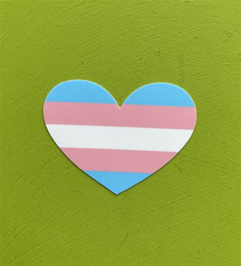 Transgender Pride Flag Heart Shaped Vinyl — Gender Inclusive Schools