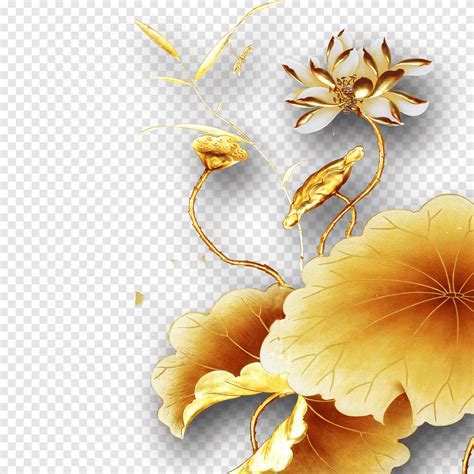 Beige Flower Gold Golden Lotus Television Golden Frame Png PNGEgg