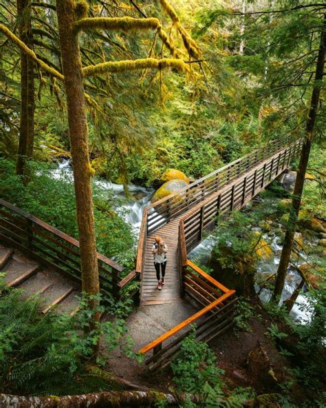 7 Best Hikes Near Seattle Washington Seattle Travel Washington State Travel Washington Travel