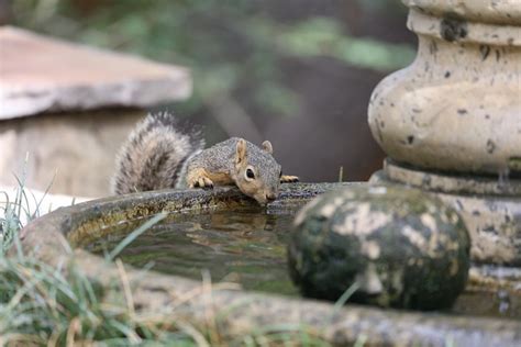 5 000 Kostenlose Brunnen Und Natur Bilder Pixabay