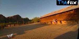 Debra Marshall Breasts Bikini Scene In Wwe Divas In Hedonism Tnaflix