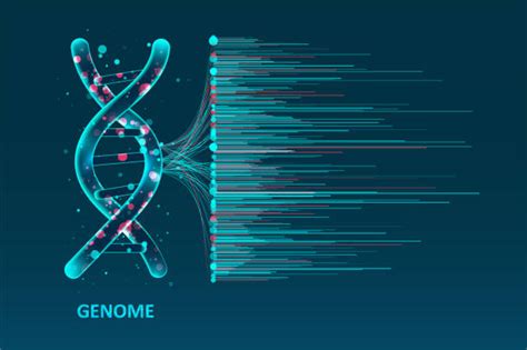 1400 Genomic Data Stock Illustrations Royalty Free Vector Graphics