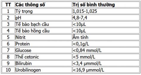 Ý Nghĩa Các Chỉ Số Xét Nghiệm Nước Tiểu Hướng Dẫn Đầy Đủ Cho Sức Khỏe