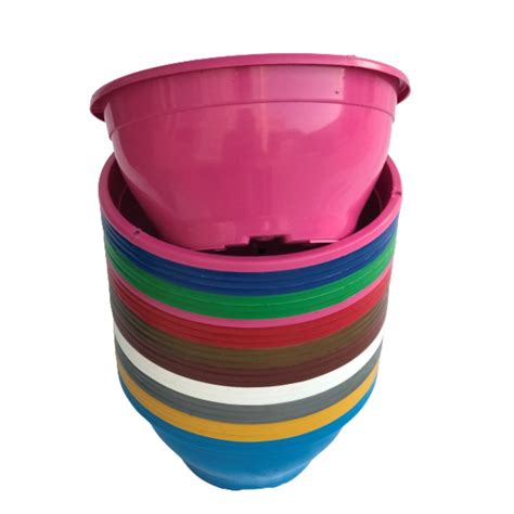 Cuias Vasos Coloridos Para Plantas Rosa Do Deserto Suculentas