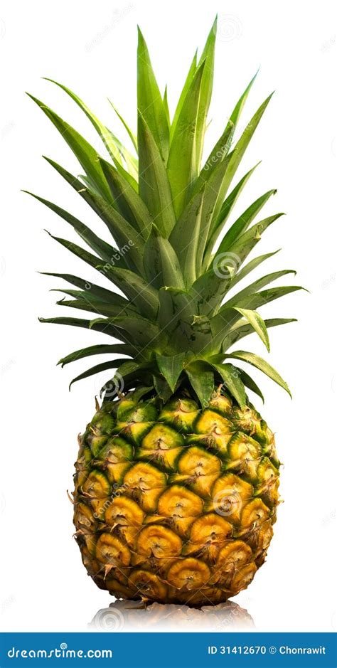 Ripe pineapple stock photo. Image of flume, juice, healthy - 31412670