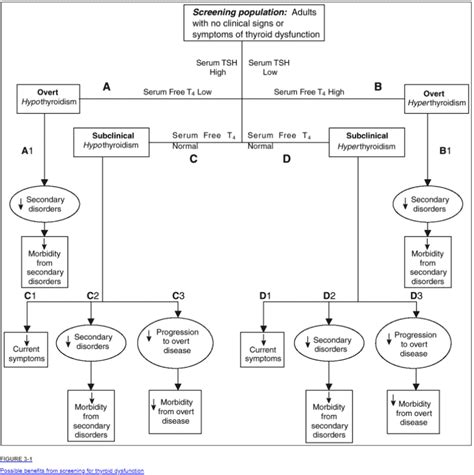 Hypothyroidism Vs Hyperthyroidism Symptoms And Lab Tests