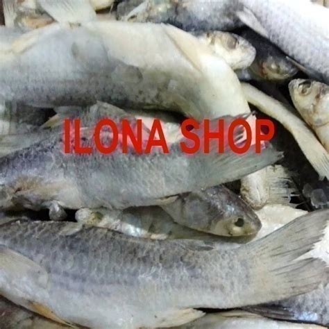 Jual IKAN ASIN GEREH PADET KUALITAS SUPER 500 GRAM Shopee Indonesia