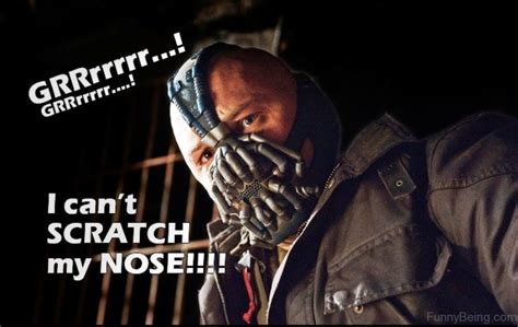 15 Amazing Bane Memes