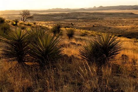 Davis Mountains State Park In Fort Davis, TX | America's State Parks