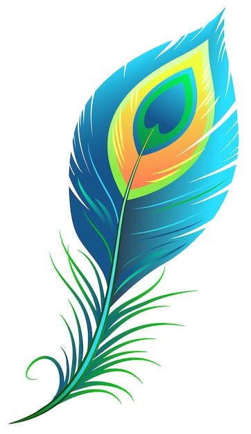 Peacock Feather Premium Vector