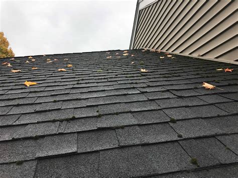 How To Remove Moss From An Asphalt Shingle Roof At Tanya Langton Blog