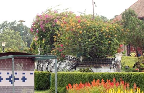 Botanical Garden View with Colorful Flowers in Kerala Stock Image ...