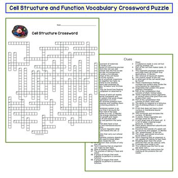 Cell Organelles Crossword Puzzle By Amy Brown Science TPT