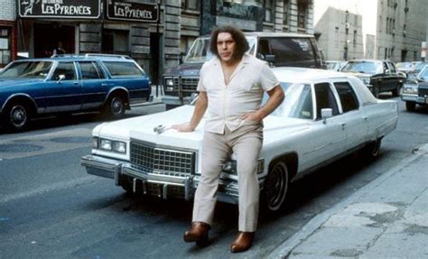 21 André The Giant Photos That Make The World Look Unbelievably Tiny