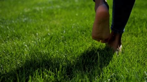 Maintenance | Grass mat and wildflower maintenance tips