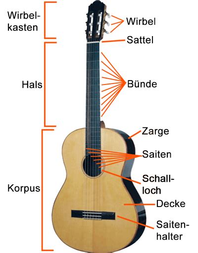 Opaque Pâturer inversement e gitarre steckbrief la monarchie Saison