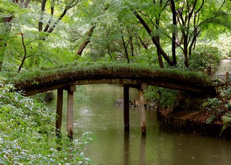 5 Types Of Authentic Japanese Garden Design You Should Know