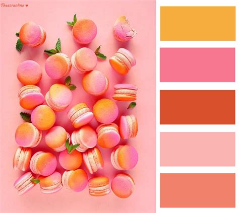 Color Palette Picture Owner Pbb3oevedyty