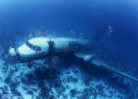 88 best SUNKEN Planes, Subs & Tanks images on Pinterest | Under the sea ...