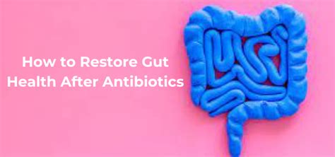 How To Restore Gut Health After Antibiotics