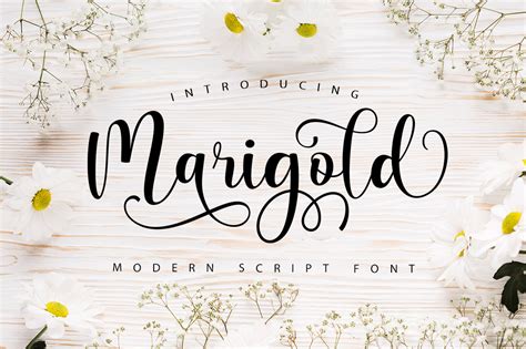 Marigold Fuente Por Stellar Studio Creative Fabrica