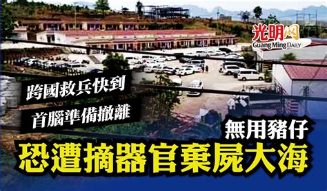 跨國救兵快到 KK園區首腦準備撤離 無用者恐遭摘器官棄屍 | 国内 | 2022-08-11 – 光明日报