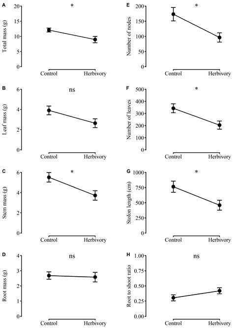 Plants Free Full Text Transgenerational Herbivory Effects On