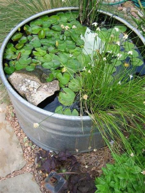 Gorgeous Low Budget Diy Mini Ponds Learn How To Make It The Art