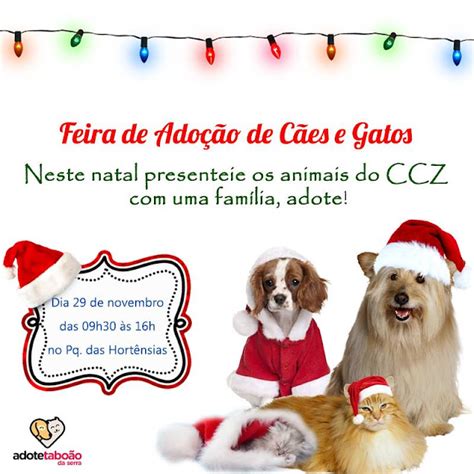 BONDE DA BARDOT SP Campanha de adoção dos animais do CCZ Taboão da