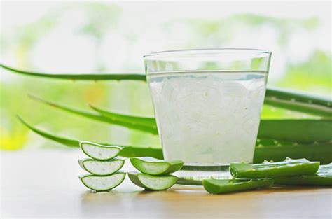 Beneficios Del Aloe Vera Para El Estómago — Mejor Con Salud