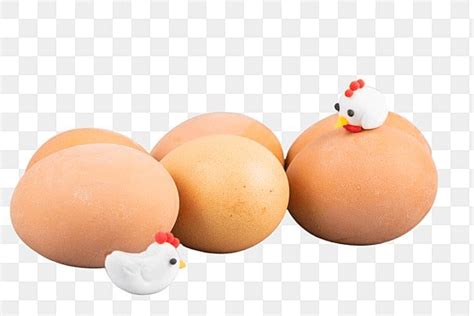 Chicken Eggs Illustration Egg Chicken Eggs PNG Transparent Clipart