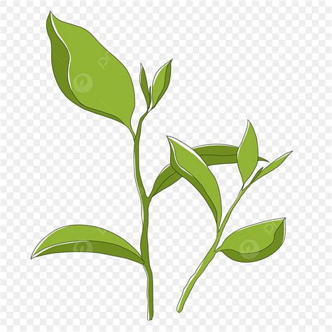 Green Tea Leaf PNG Picture, Green Leaf Tea Cartoon Illustration, Green ...