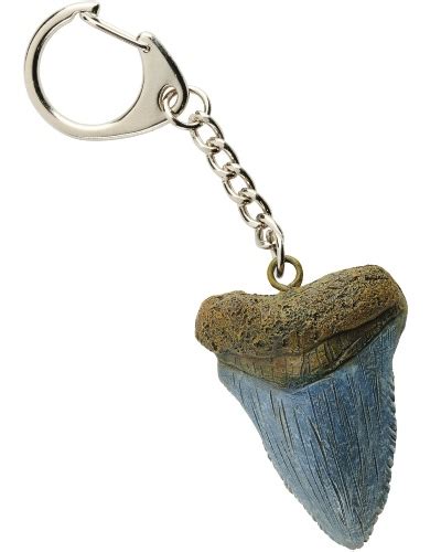 Megalodon Tooth Key Ring