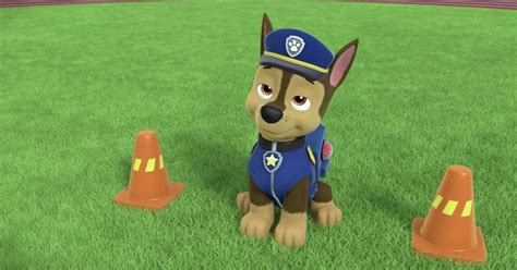 Paw Patrol Police Station | atelier-yuwa.ciao.jp