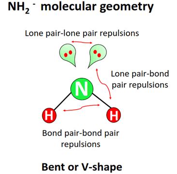 NH2 Lewis Structure Molecular Geometry Hybridization Bond Angle