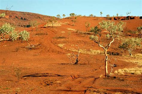 The Outback Travellers Track Guide - The Pilbara