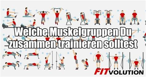 Welche Muskelgruppen Du Zusammen Trainieren Solltest Fitvolution