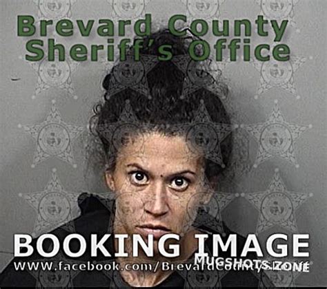 Heinly Anna Fine Brevard County Mugshots Zone