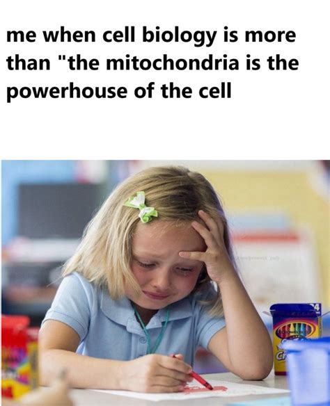 Cell biology meme | cell-biology-mqt