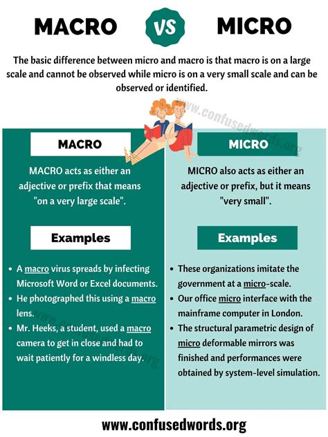 Difference Between Micro And Macro Economics Communauté MCMS