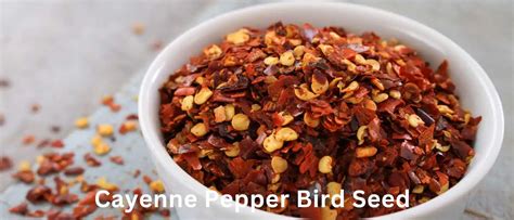 Pepper Bird Seed Does Cayenne Pepper Deter Squirrels Birds Wetlands