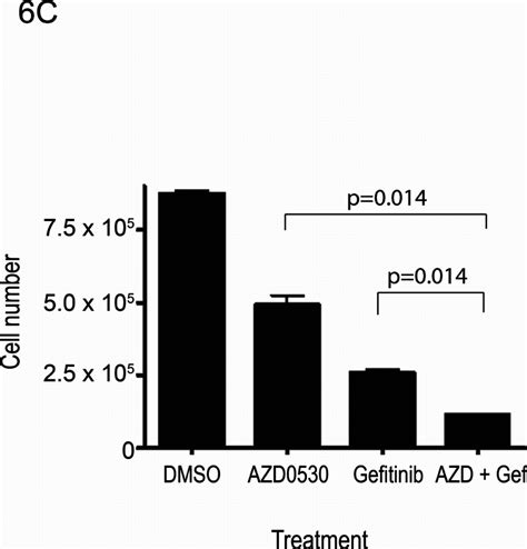 Proliferation Assay Of Hnscc Cell Lines Treated With Azd0530 Andor