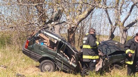 Despiste choque contra un árbol y muerte en la ruta 11 Infocielo