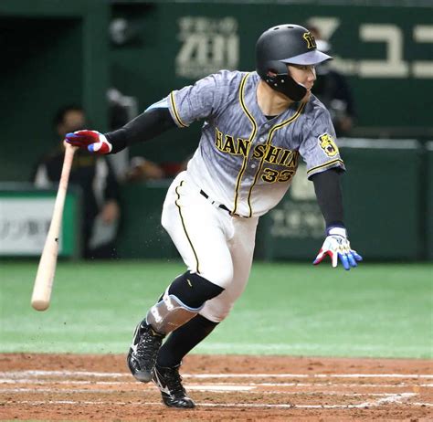 阪神・糸原 ― スポニチ Sponichi Annex 野球