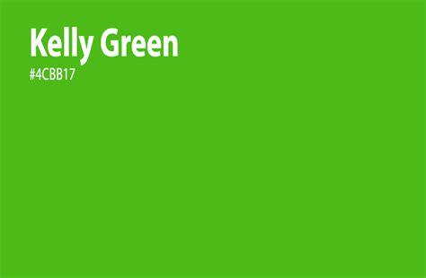 Kelly Green Color: Everything You Need To Know