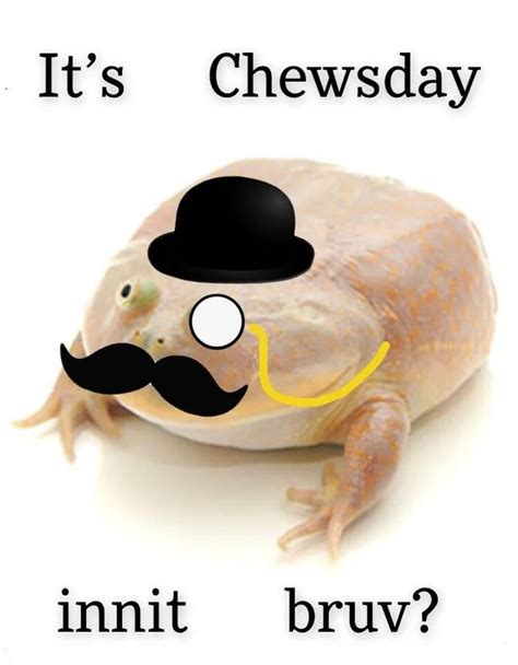 It Is Wednesday My Dudes Itiswednesday Frog Quotes Frog Meme Frog