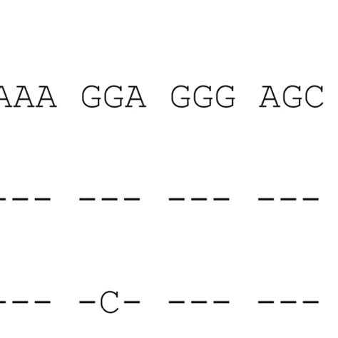 Alignment Of The Exon Sequence Of Hlab And Hlab